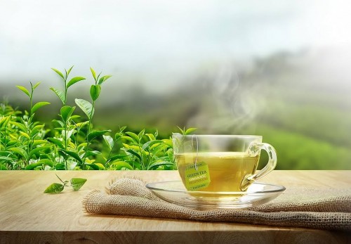 9 websites to find tea importers and sell online