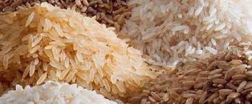 How To Find Rice Importers Globally? [Comprehensive Guide]
