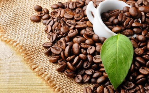 Thị trường thương mại điện tử B2B hàng đầu dành cho bán buôn cà phê Robusta