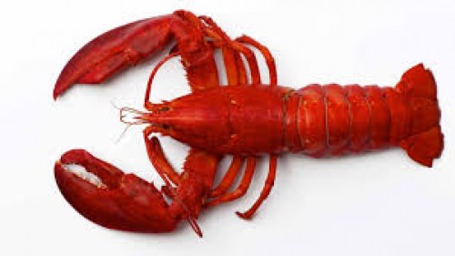 China's Lobster Import Market: A High-Value Seafood Surge