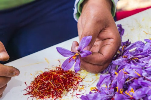 Top B2B Platforms for Saffron Exporters to Find Buyers
