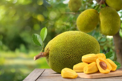 Top Countries That Import Jackfruit & Best Places to Sell It in