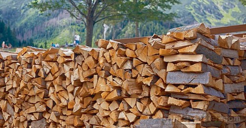 Cách tìm người mua gỗ xẻ trực tuyến