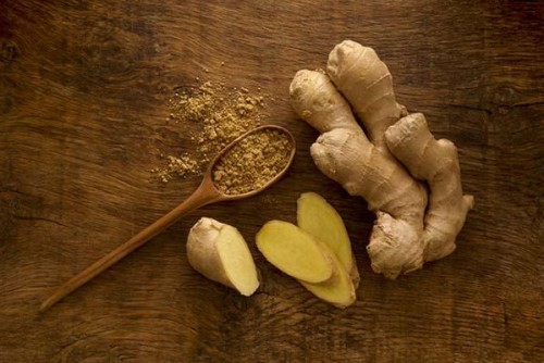Top Ginger Root Extract Suppliers for Brands in the United States