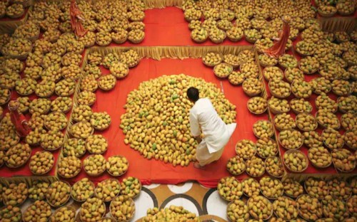 How to Export Mangoes to the USA? Requirements and Step-by-Step Guide