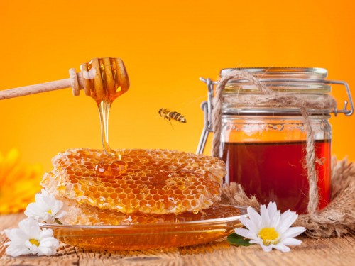 Tips to Find Honey Buyers & Importers List from USA & Europe
