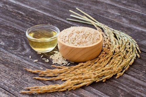 Mua Cám Gạo Số Lượng Lớn Ở Đâu