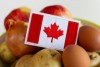 U.S. Products in High Demand in Canada [Market Demand and Segments]