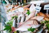 Where to find fish Buyers and Importers?