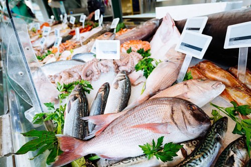 Where to find fish Buyers and Importers?
