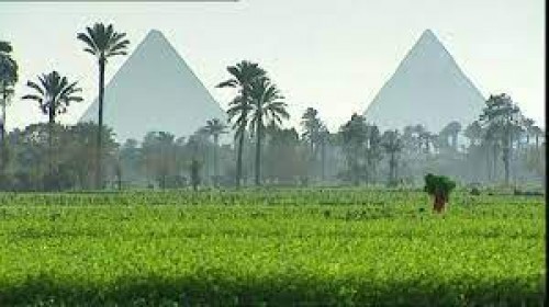 Increase in Agricultural Exports from Egypt - 5.2 million Tonnes in the first half of 2025.