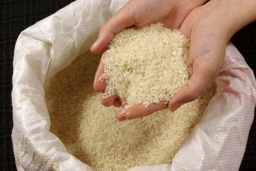 Mua túi bao bì gạo trực tuyến ở đâu