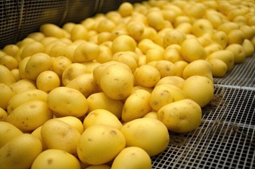 Dónde comprar patatas baratas a granel