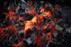 8 Leading Charcoal Suppliers for Wholesale Buyers