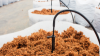 12 Proven Ways to Find Coco Peat Buyers Online