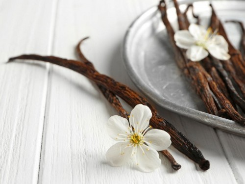 8 Websites To Sell Vanilla Beans To Global Buyers