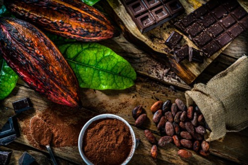 How to Find Cocoa Beans Importers Globally?