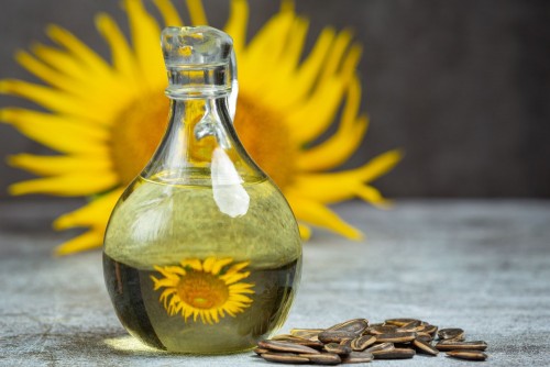 How To Buy Sunflower Oil In Bulk At The Cheapest Price