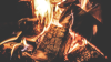 How B2B Marketplaces Are Changing the Firewood Industry