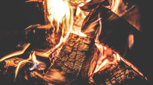 How B2B Marketplaces Are Changing the Firewood Industry