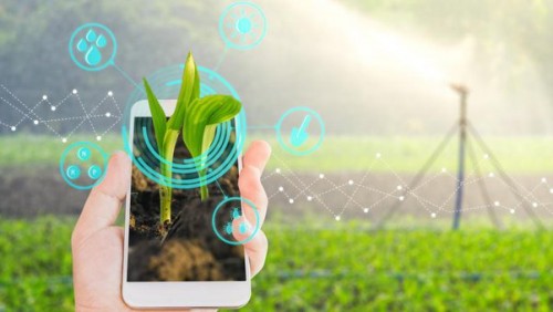 10 thị trường B2B hàng đầu cho sản phẩm nông nghiệp