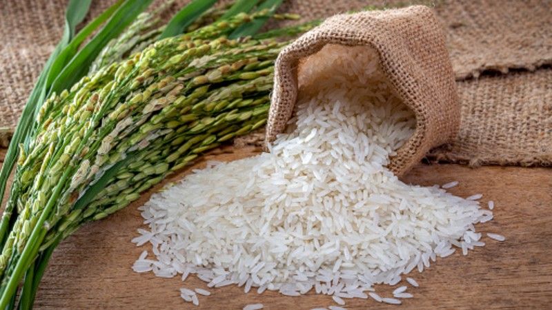 Arroz al por mayor