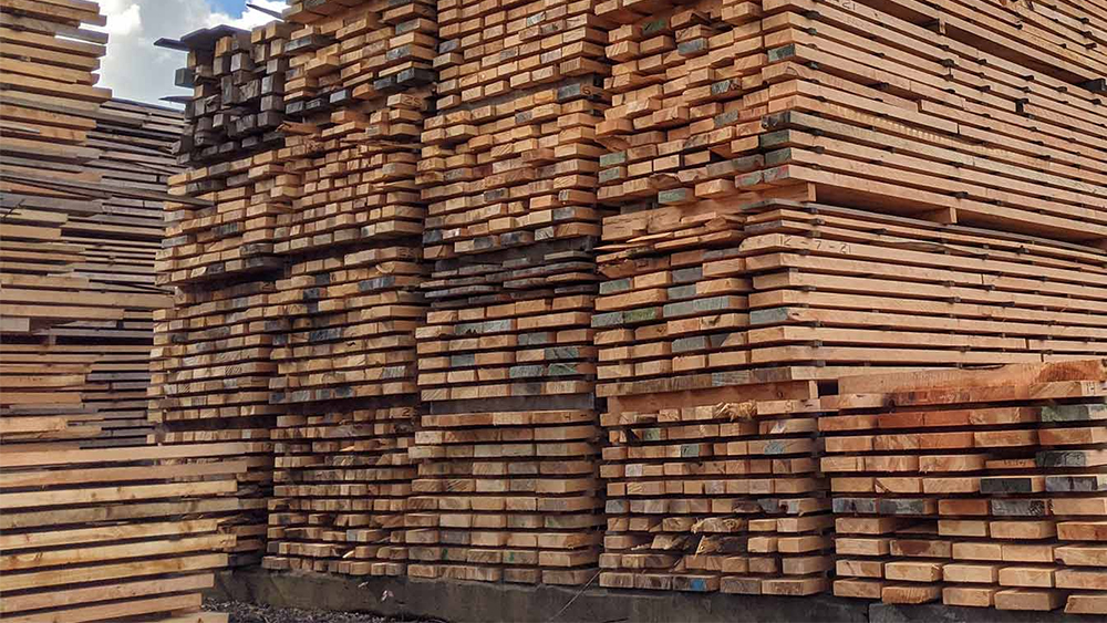 Thị trường nhập khẩu gỗ và gỗ xẻ của Trung Quốc có thể tệ hơn bạn nghĩ - Global Wood Markets Info