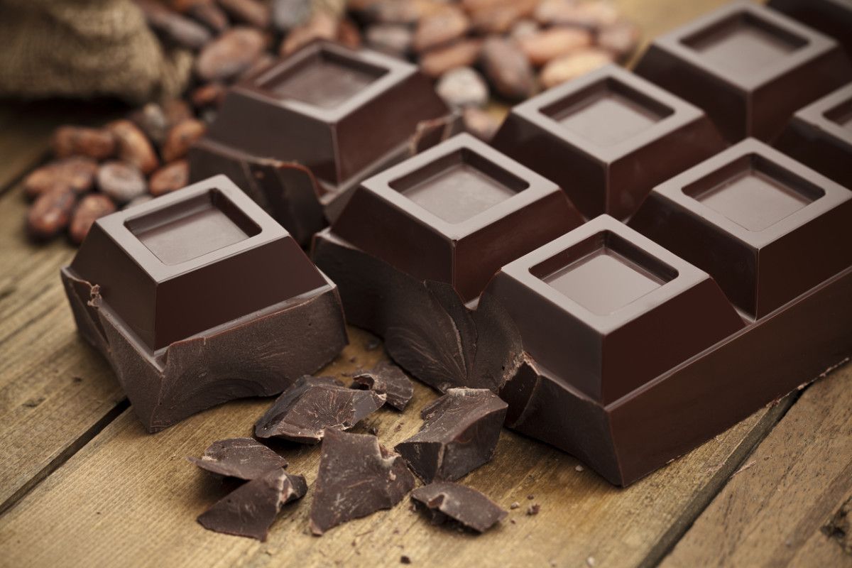 top Wholesale chocolate companies 