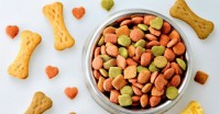 Where To Buy Pet Food In Bulk? A Complete Guide