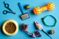 10 Best Selling Pet Products in the Market