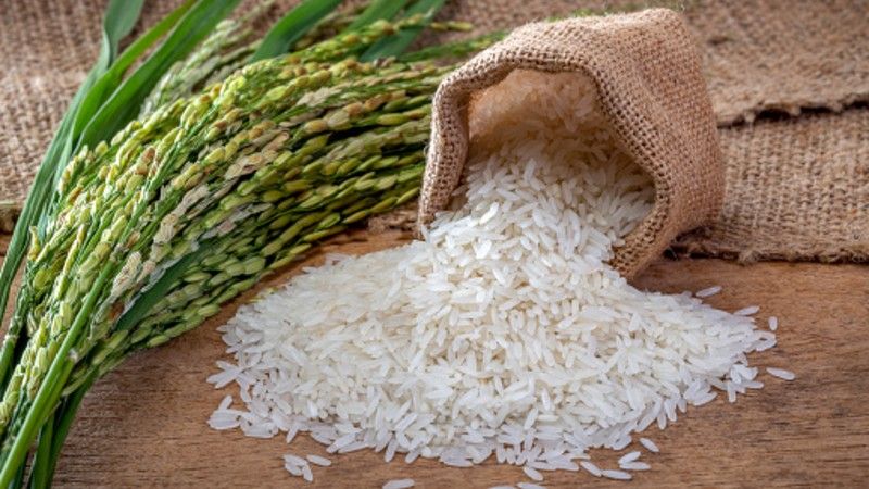 Where To Buy Rice At Wholesale Price