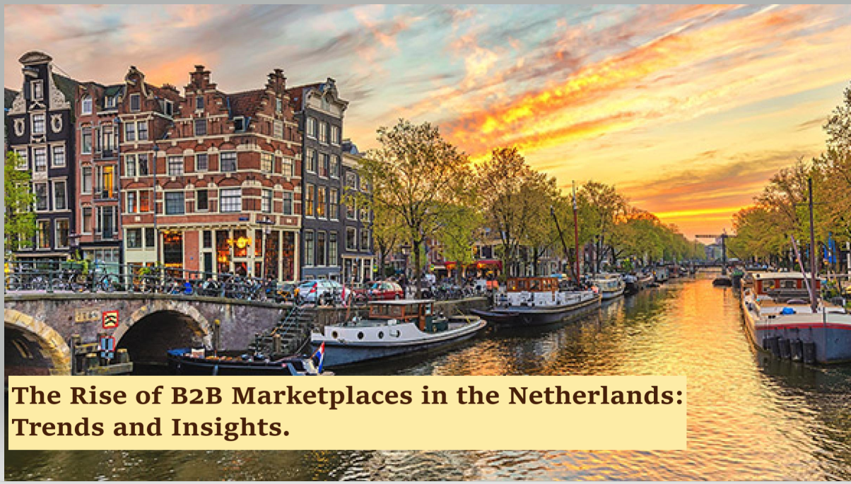 The Rise of B2B Marketplaces in the Netherlands: Trends and Insights.