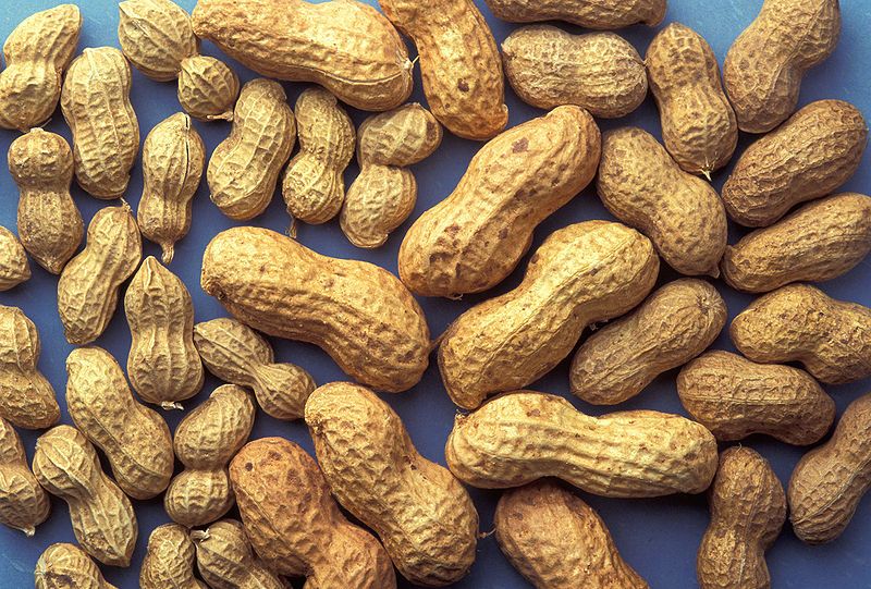Where to buy peanuts in bulk